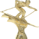 Skier, 645-G